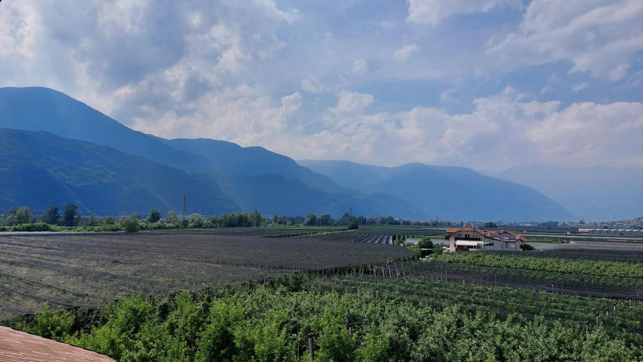 Mittelbergerhof Ferienwohnungen Vilpiano エクステリア 写真