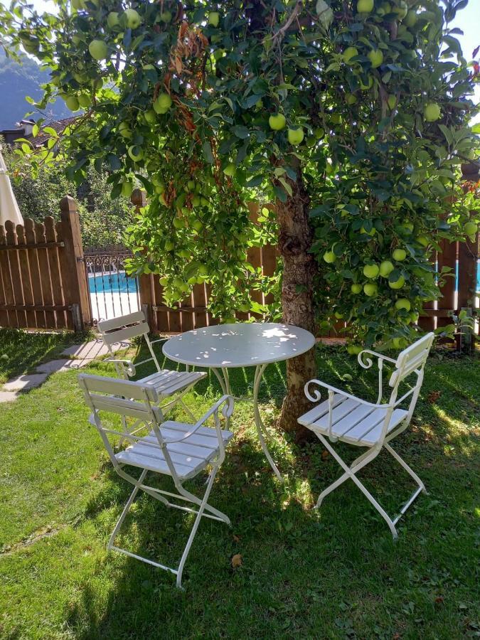 Mittelbergerhof Ferienwohnungen Vilpiano エクステリア 写真